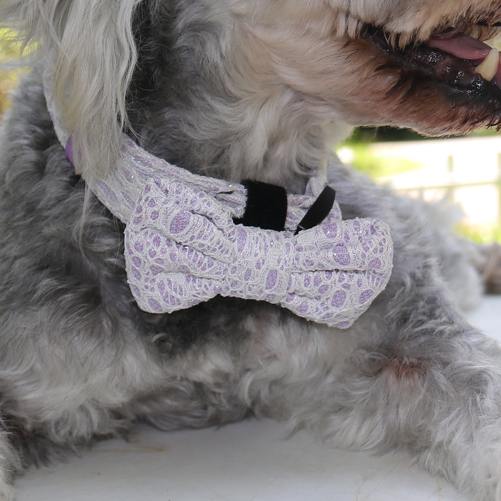 2026 Bobotails Lavender Purple New Collection Beauty of Lace Dog Bow Tie Collar