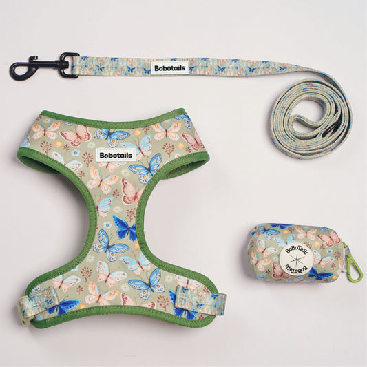 A pet leash set with a matching harness, leash, and zippered pouch on a light gray background. The set features a pastel butterfly and floral pattern on a sage green base, with sage green trim.