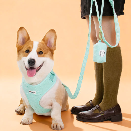 silk embrodiery dog harness and leash set by Bobotails