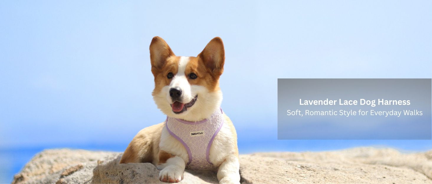 lavender lace dog walking harness designed as part of a matching dog and owner accessory system for everyday walks