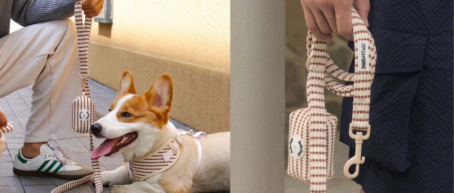 small grain dog harness and leash set matching dog and owner accessories designed as one coordinated system