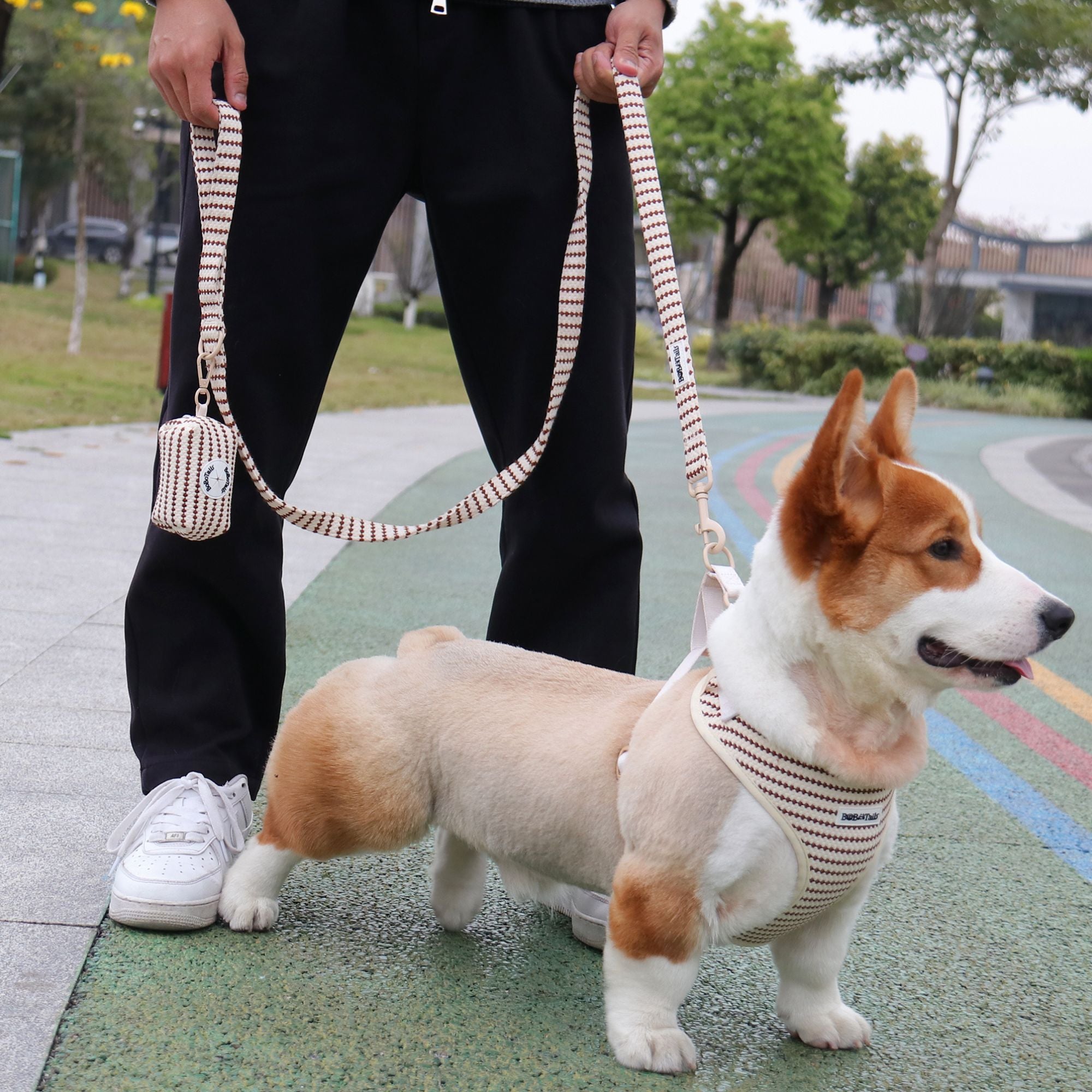 small grain dog harness and leash setas part of a matching dog and owner accessory system for everyday walks