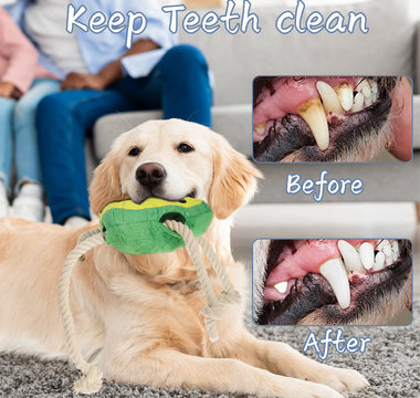 Puppy Chew Toys