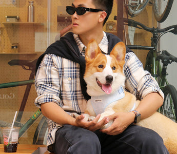 warm clothes for small dogs