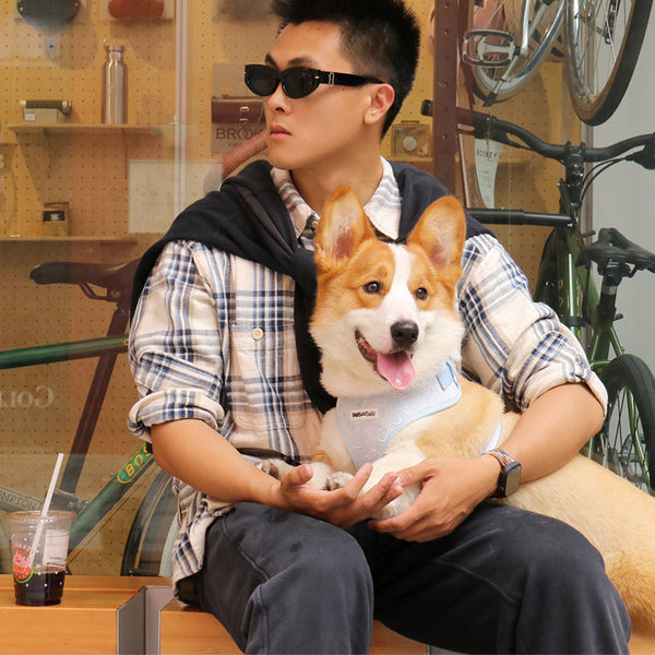 warm clothes for small dogs