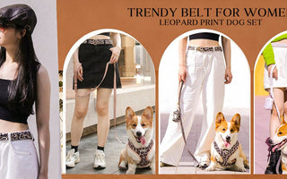 matching dog harness and bandana set for daily walk styling