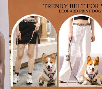 matching dog harness and bandana set for daily walk styling
