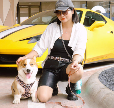 Mom and Dog Matching Harness and Belt Set Gift Ideas