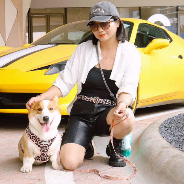 Designer dog harness