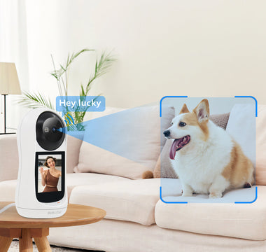 dog camera for home