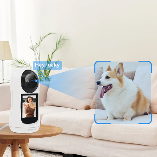 dog camera for home
