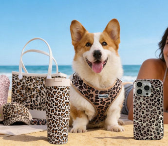 Bobotails Leopard Beach Collection — matching dog harness and owner accessories for beach lifestyle