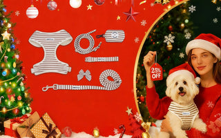 Best Christmas Gifts for Dog Lovers 2025: The Complete 7-Piece Matching Set (30% OFF)