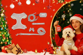Best Christmas Gifts for Dog Lovers 2025: The Complete 7-Piece Matching Set (30% OFF)