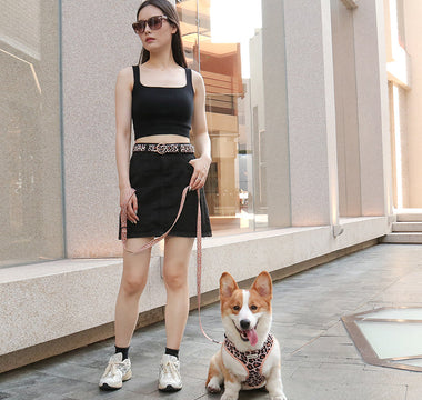 Best Matching Dog Collar and Leash Set for Small Dogs