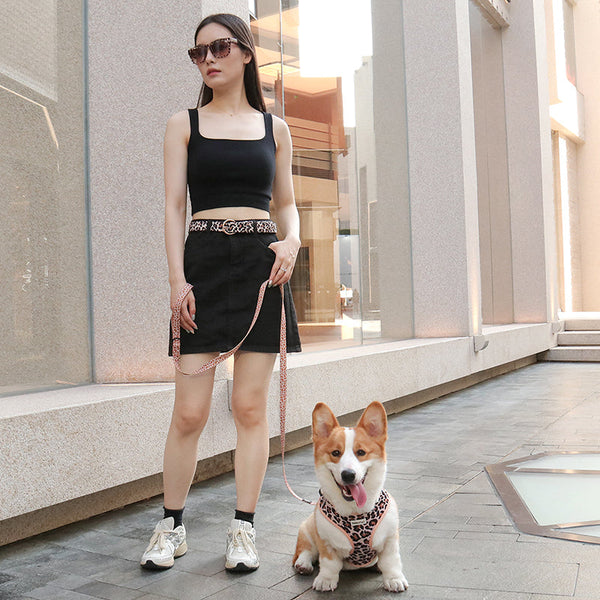 Best Matching Dog Collar and Leash Set for Small Dogs