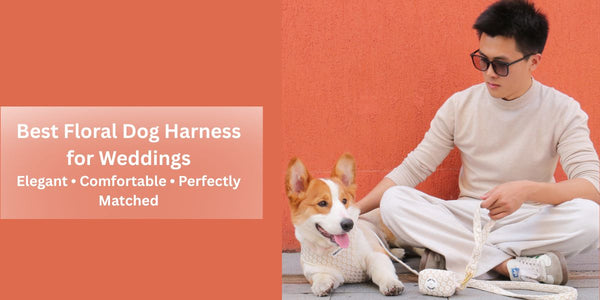 Best floral dog harness for weddings with elegant embroidery, designed for comfort, safety, and a perfectly matched wedding look