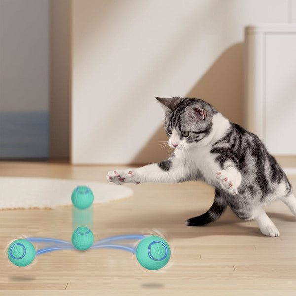 Interactive cat toy with ball for indoor play and exercise