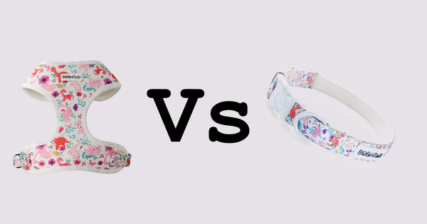 dog harness vs collar