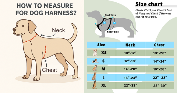 How to Measure for Dog Harness?