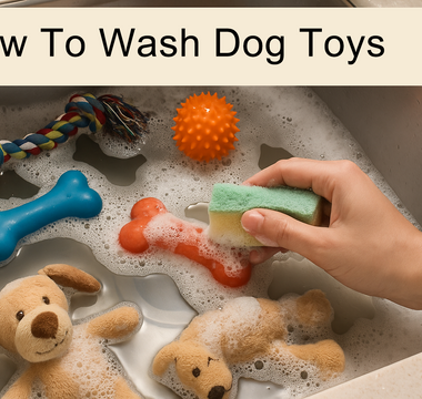 How to Wash Dog Toys?