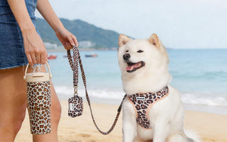 Shiba Inu wearing Bobotails leopard print dog harness sitting on a beach at sunset with palm trees and owners holder matching leopard coffee cup standing beach 