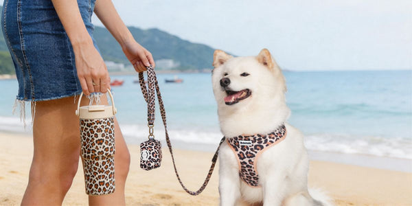 Shiba Inu wearing Bobotails leopard print dog harness sitting on a beach at sunset with palm trees and owners holder matching leopard coffee cup standing beach 