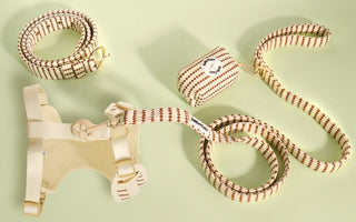 Matching Dog and Human Clothes with Stylish Dog Harness and Leash Sets for Pet Parents
