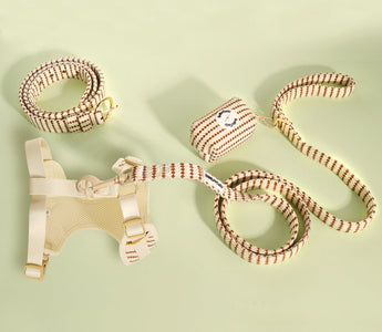 Matching Dog and Human Clothes with Stylish Dog Harness and Leash Sets for Pet Parents