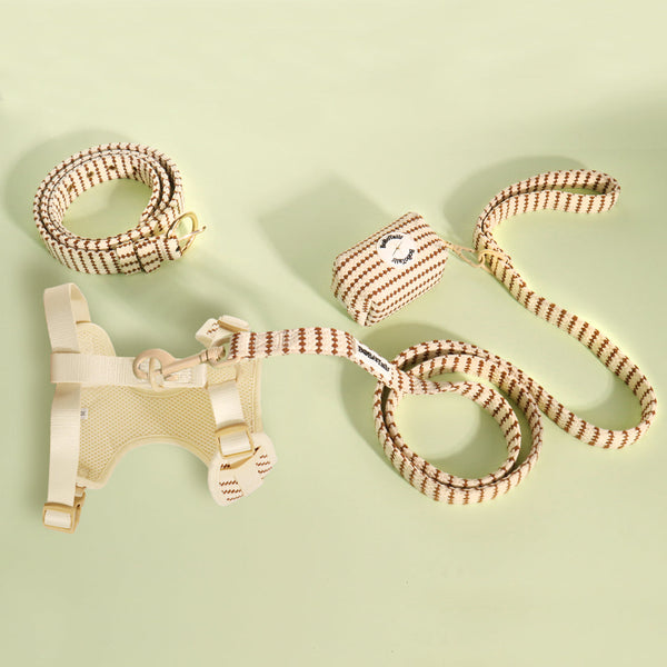 Matching Dog and Human Clothes with Stylish Dog Harness and Leash Sets for Pet Parents