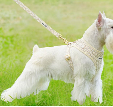 best dog harness guide for Miniature Schnauzer