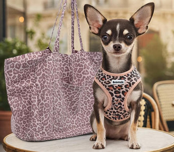 harnais pour chihuahua ajustable Bobotails — style léopard