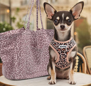 harnais pour chihuahua ajustable Bobotails — style léopard