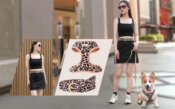 The Rise of Matching Human and Dog Apparel