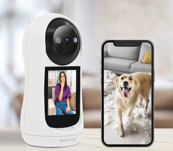 Interactive Pet Cameras for the Modern Pet Parent: A Complete Guide
