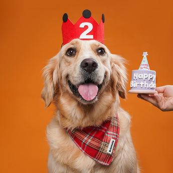 Bobotails Dog Bandanas,Adjustable Bib Handkerchief Puppy Bandana for Medium Large Dogs