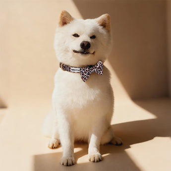 Bobotails Dog Bow Tie Set,Adjustable Pet Tie Collar for Small Medium Large Dog