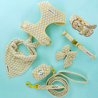 Dog Walking Accessories Matching Bundle