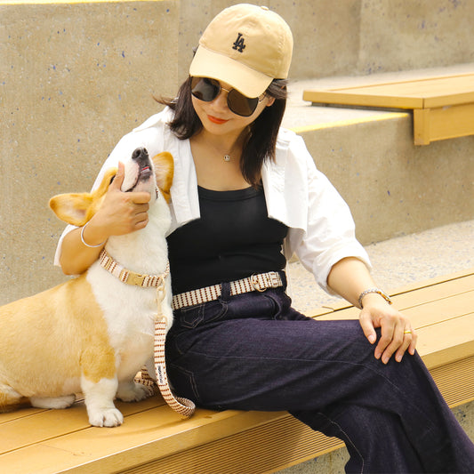 Ensembles de correspondance de chien de conception de tissu tissé