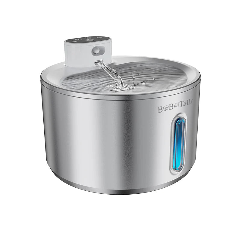 Fontaine d'eau de compagnie en acier inoxydable