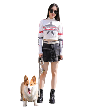 Harnais de chien à chiot réglable tricoté