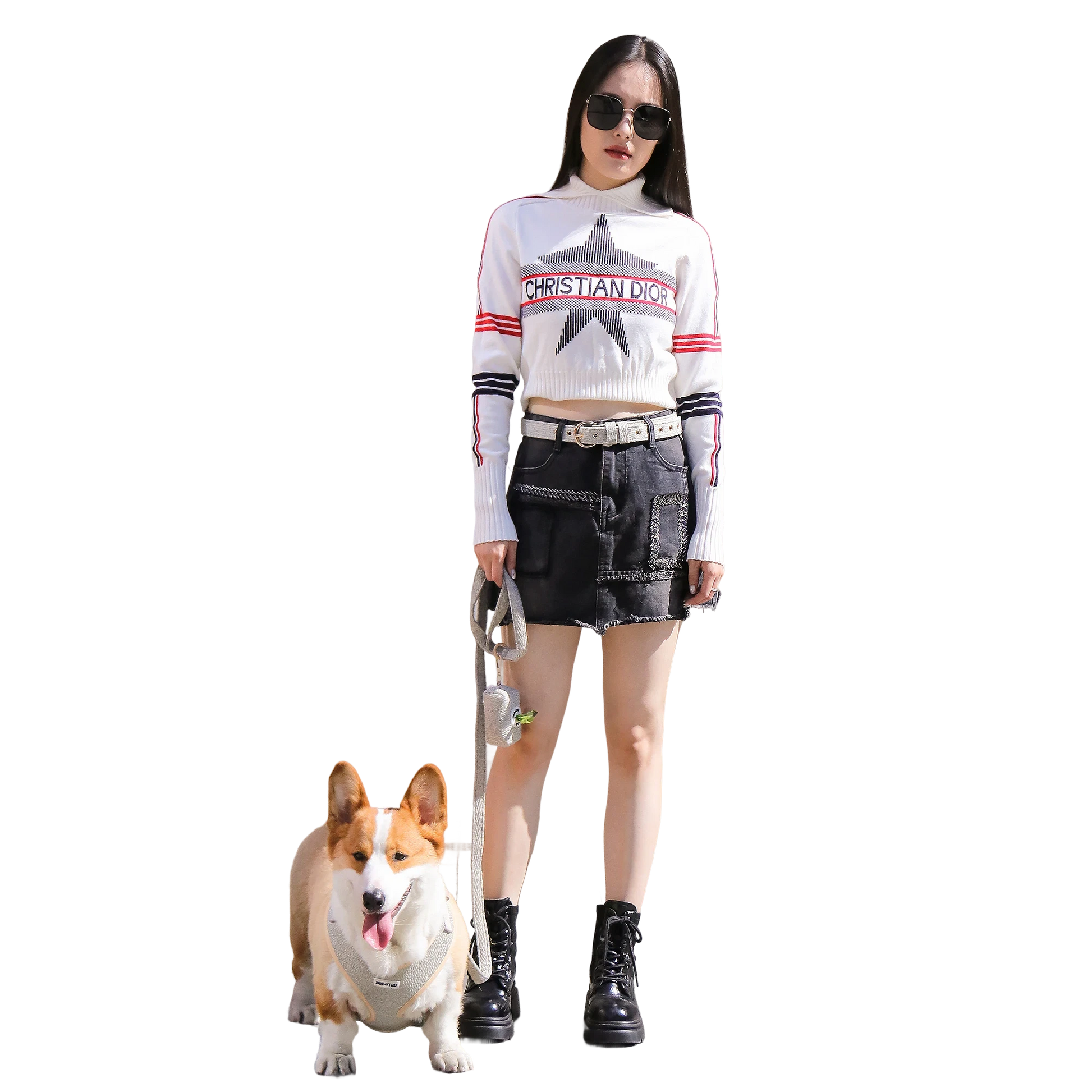 Harnais de chien à chiot réglable tricoté