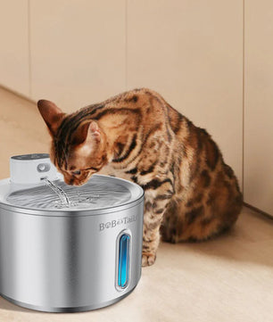 Fontaine d'eau de compagnie en acier inoxydable