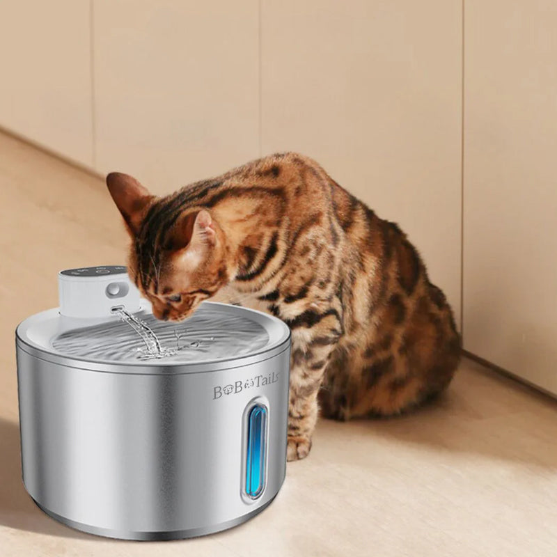 Fontaine d'eau de compagnie en acier inoxydable