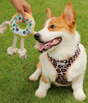 Jouet de chien interactif en forme de beignet