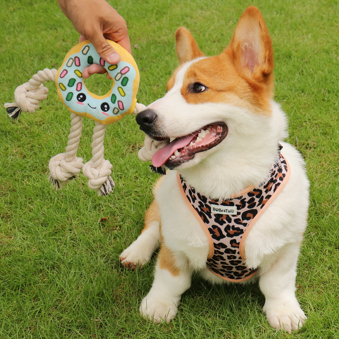 Jouet de chien interactif en forme de beignet