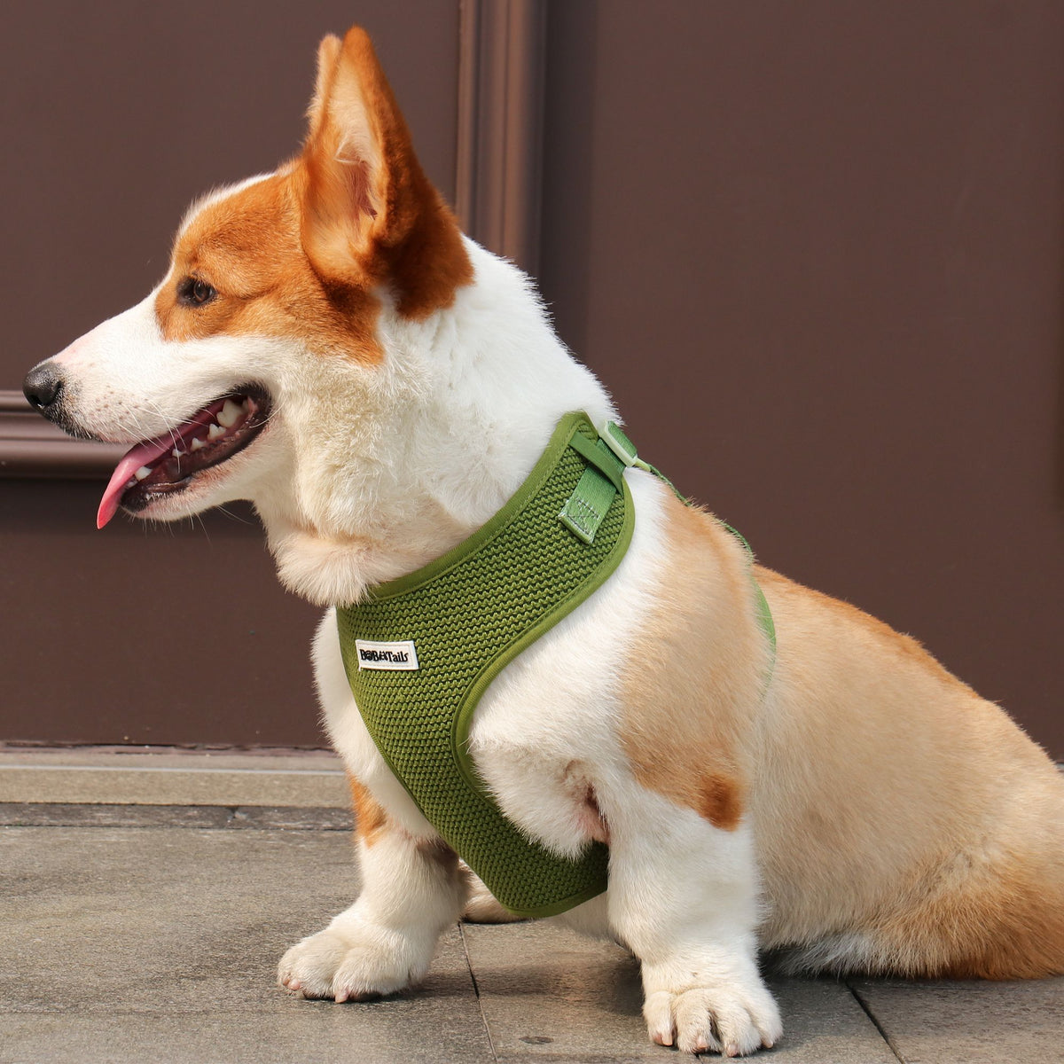 Ensemble comprenant un harnais pour pull, une laisse et un porte-sacs à crottes