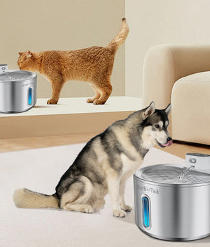 Fontaine d'eau de compagnie en acier inoxydable