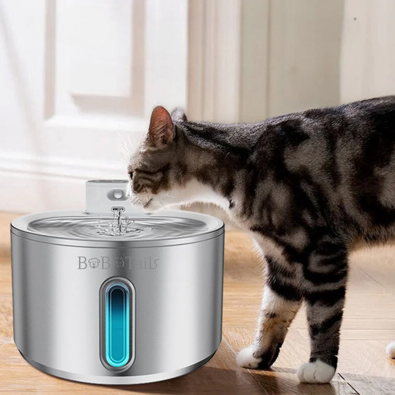 Fontaine d'eau de compagnie en acier inoxydable