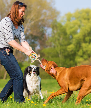 Jouet de chien interactif en forme de beignet
